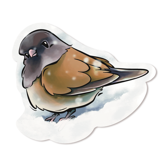 DARK-EYED JUNCO