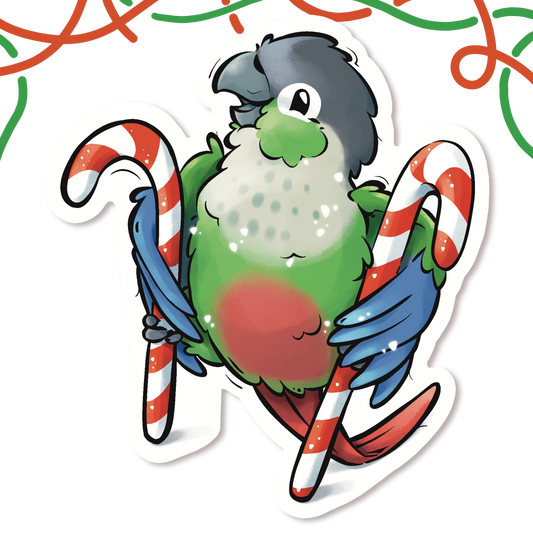 LITTLE CHRISTMAS HELPER - GREEN CHEEKED CONURE- NORMAL