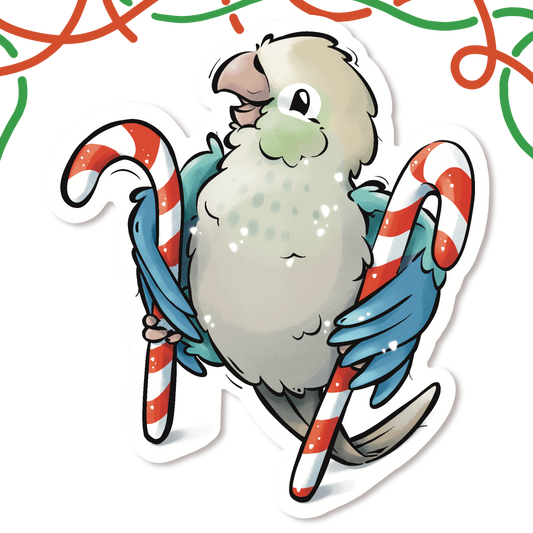 LITTLE CHRISTMAS HELPER - GREEN CHEEKED CONURE- TURQUOISE CINNAMON