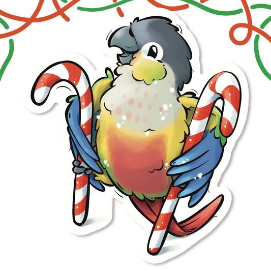 LITTLE CHRISTMAS HELPER - GREEN CHEEKED CONURE- YELLOW SIDED