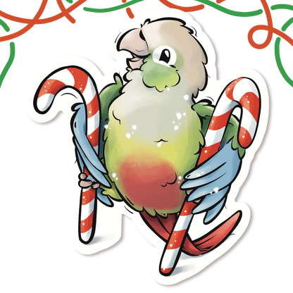 LITTLE CHRISTMAS HELPER - GREEN CHEEKED CONURE- CINNAMON