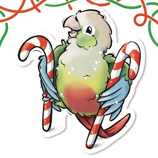 LITTLE CHRISTMAS HELPER - GREEN CHEEKED CONURE- CINNAMON