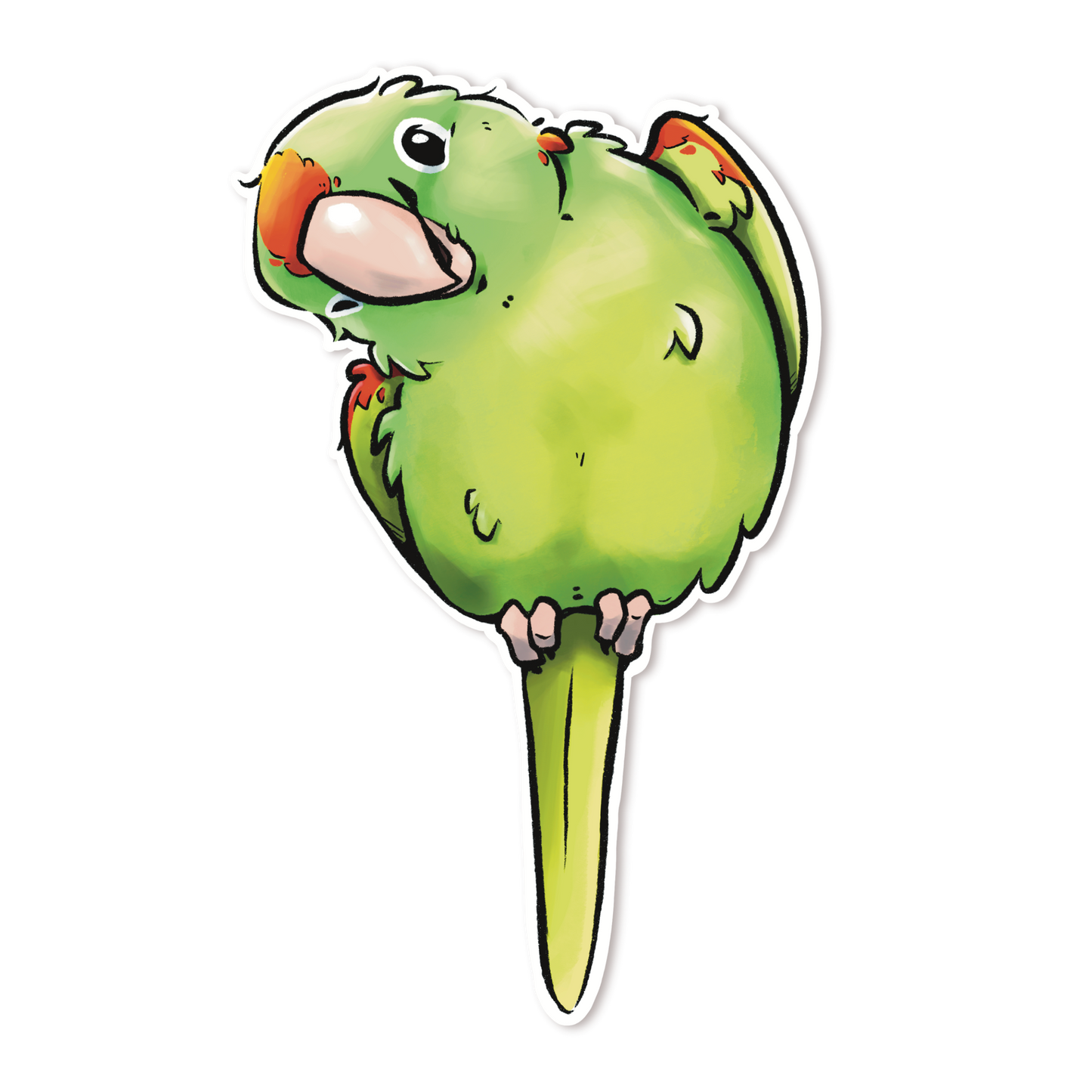 FINSCH'S CONURE