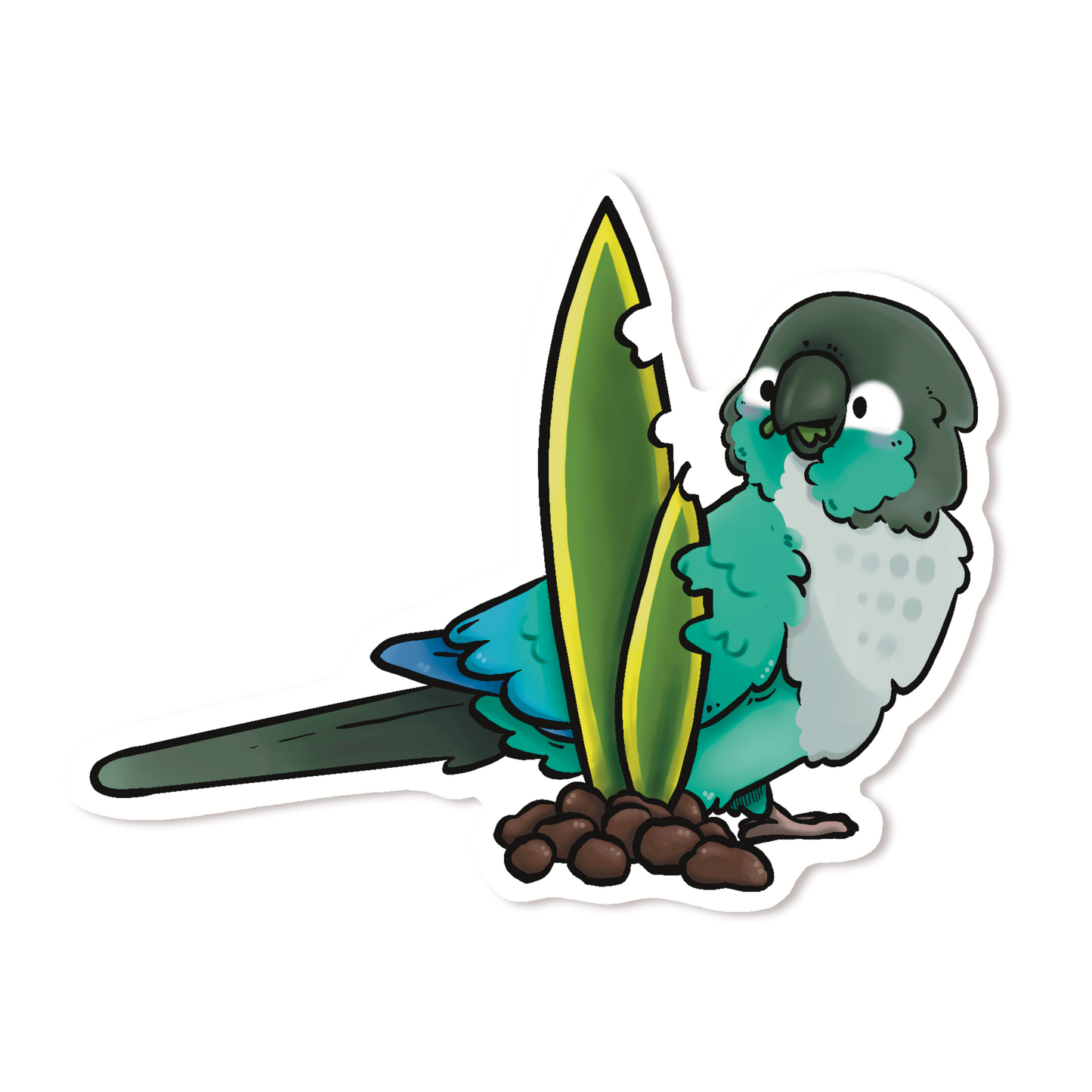 TURQUOISE GREEN-CHEEKED CONURE