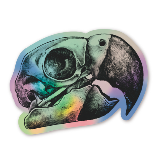 HOLOGRAPHIC MACAW SKULL